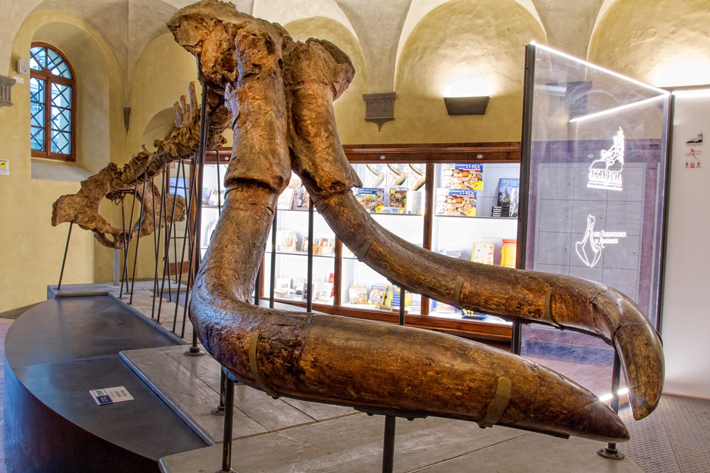 A Montevarchi, Arezzo, arriva il 1° PaleoFest, il Festival della Preistoria