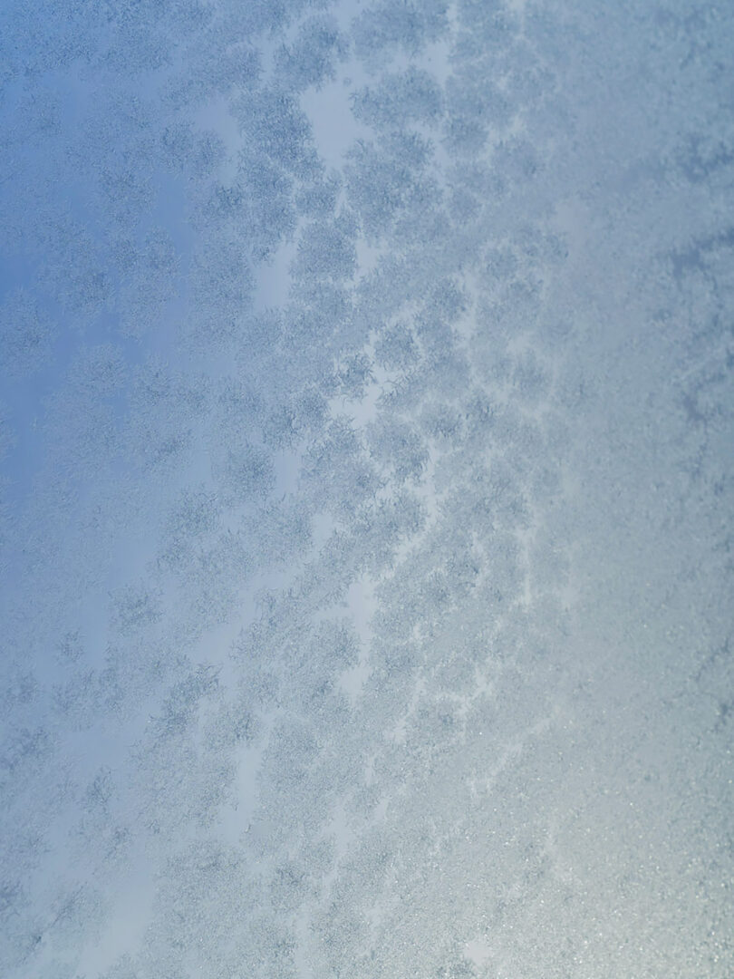 inverno © filippo brancoli pantera